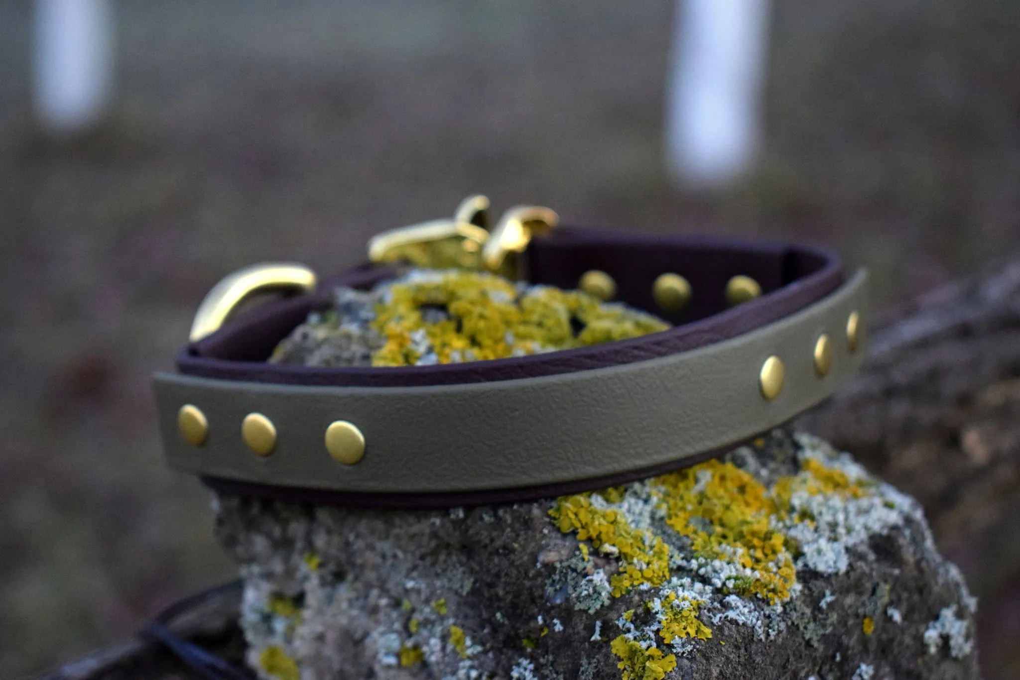 2Color Bio Dog Collar