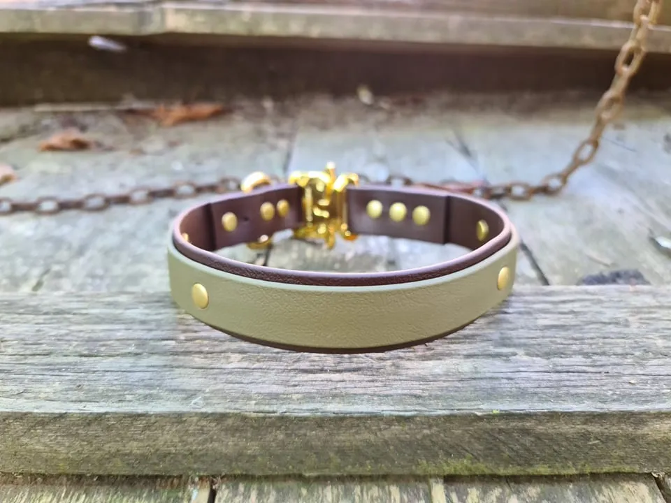 2Color Bio Dog Collar