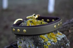 2Color Bio Dog Collar