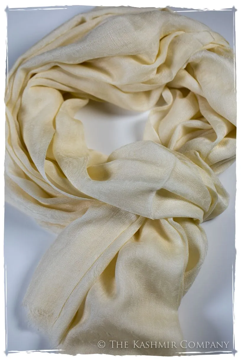 Afterglow Paisley Kashmir Wool Scarf