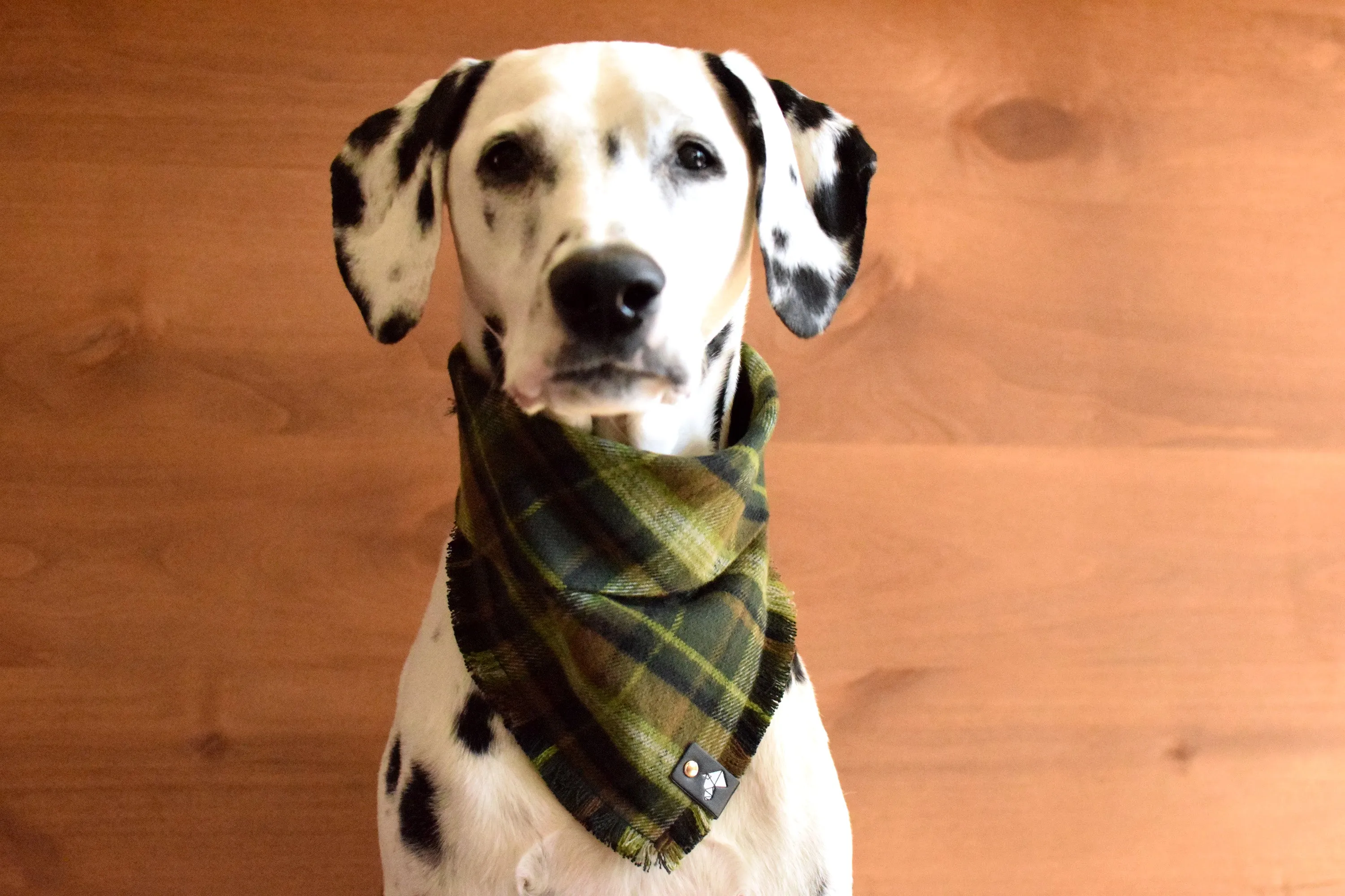 AMON Fringed Flannel Dog Bandana - Snap/Tie On Cotton Scarf