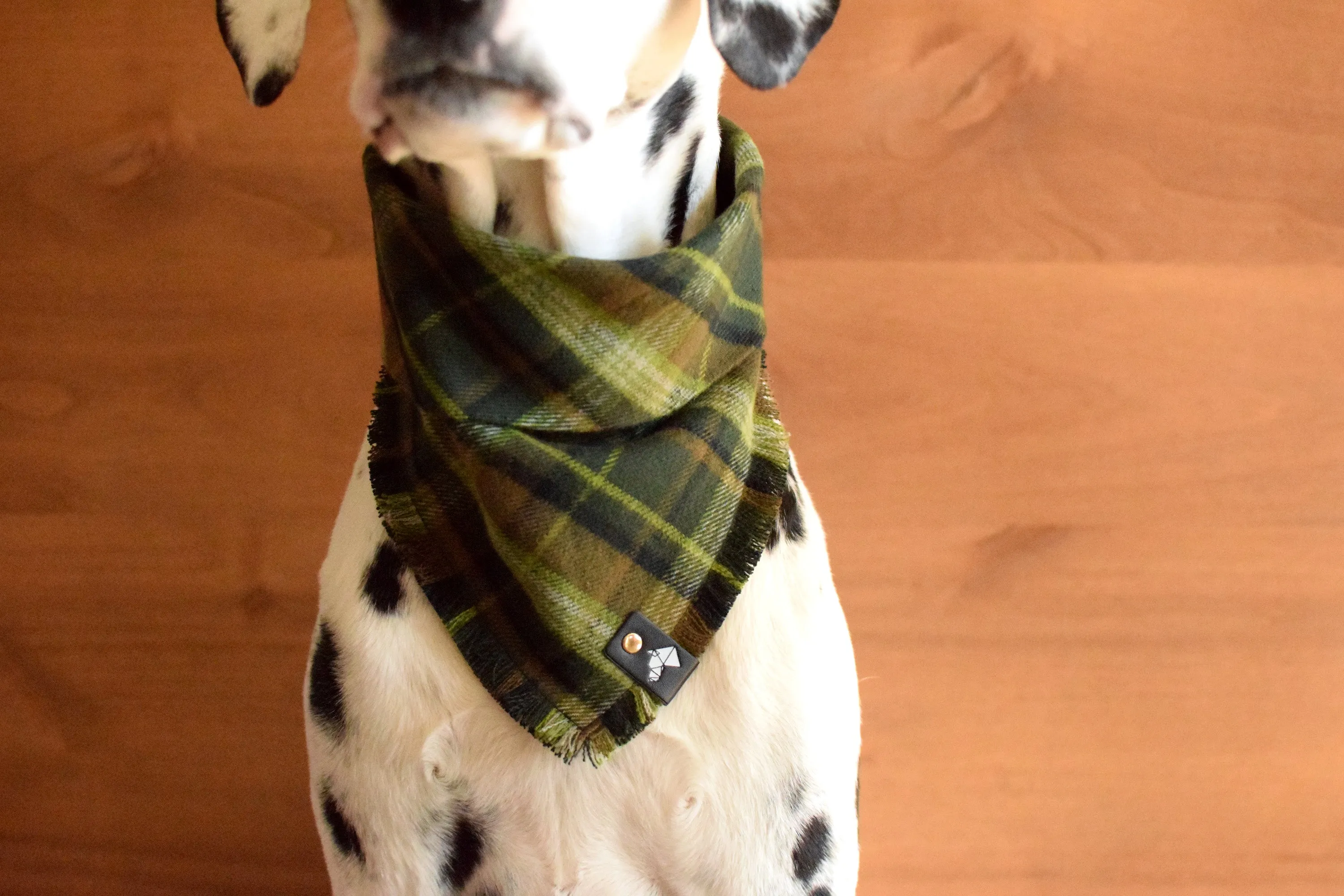 AMON Fringed Flannel Dog Bandana - Snap/Tie On Cotton Scarf