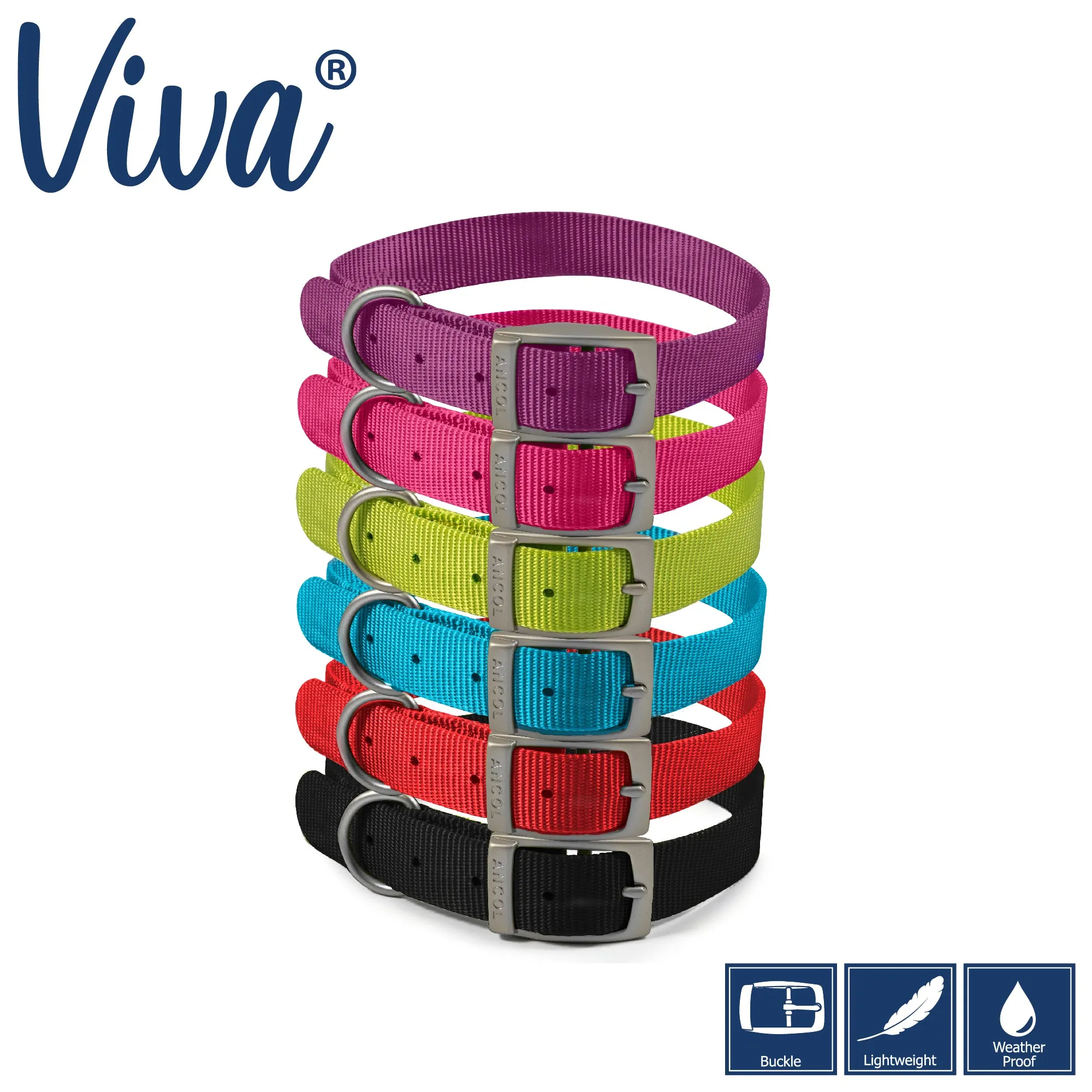 Ancol - Viva Nylon Buckle Collar - Lime - Size 4 (35-43cm)