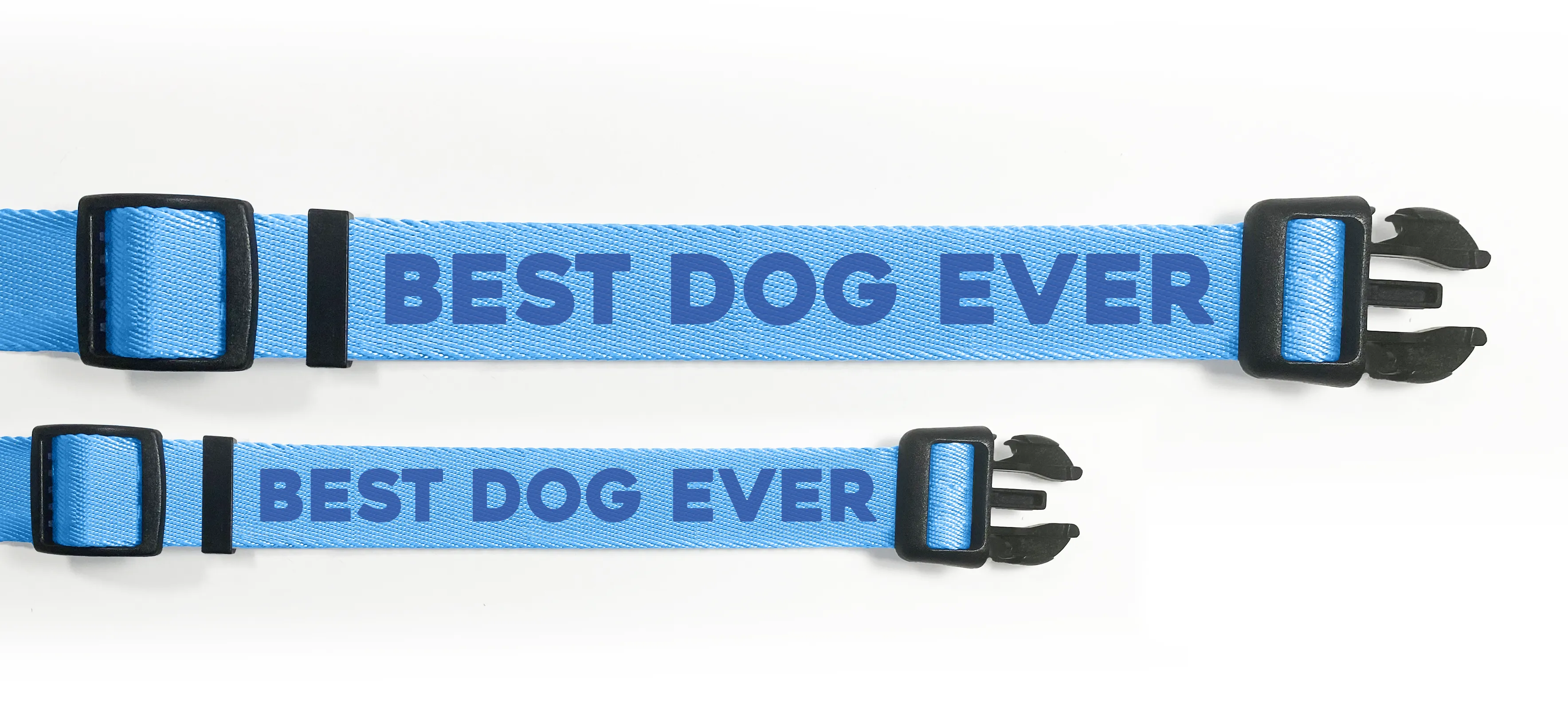 Best Dog Ever (Blue) Dog Collar