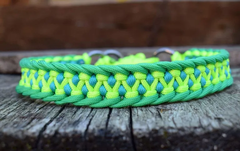 Dragon braid Dog collar