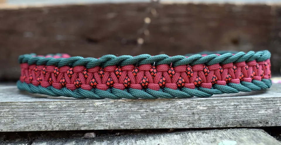 Dragon braid Dog collar