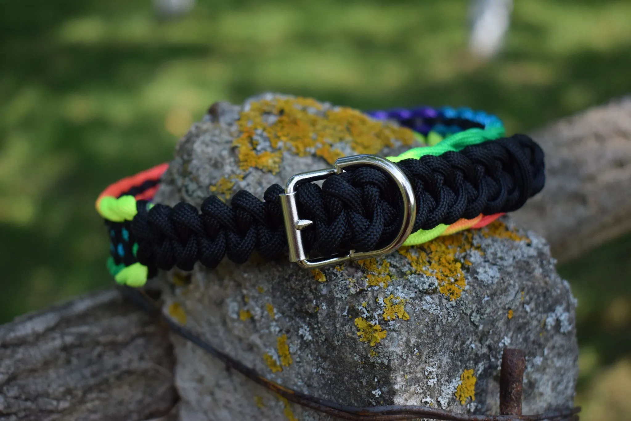 Dragon braid Dog collar