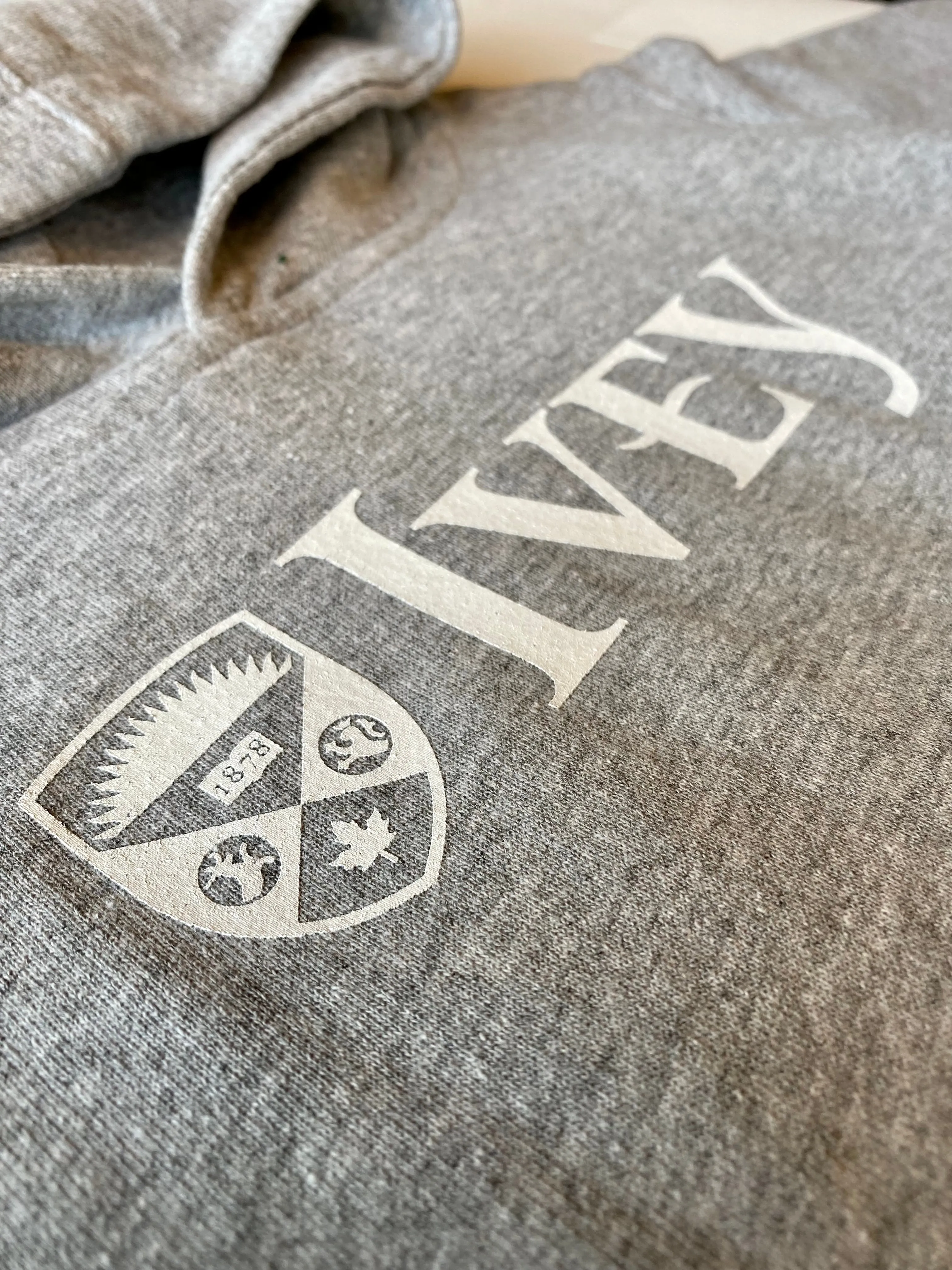 Ivey Toddler Hoodie