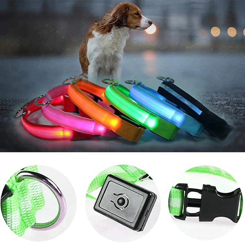 LED Glow Dog Collar