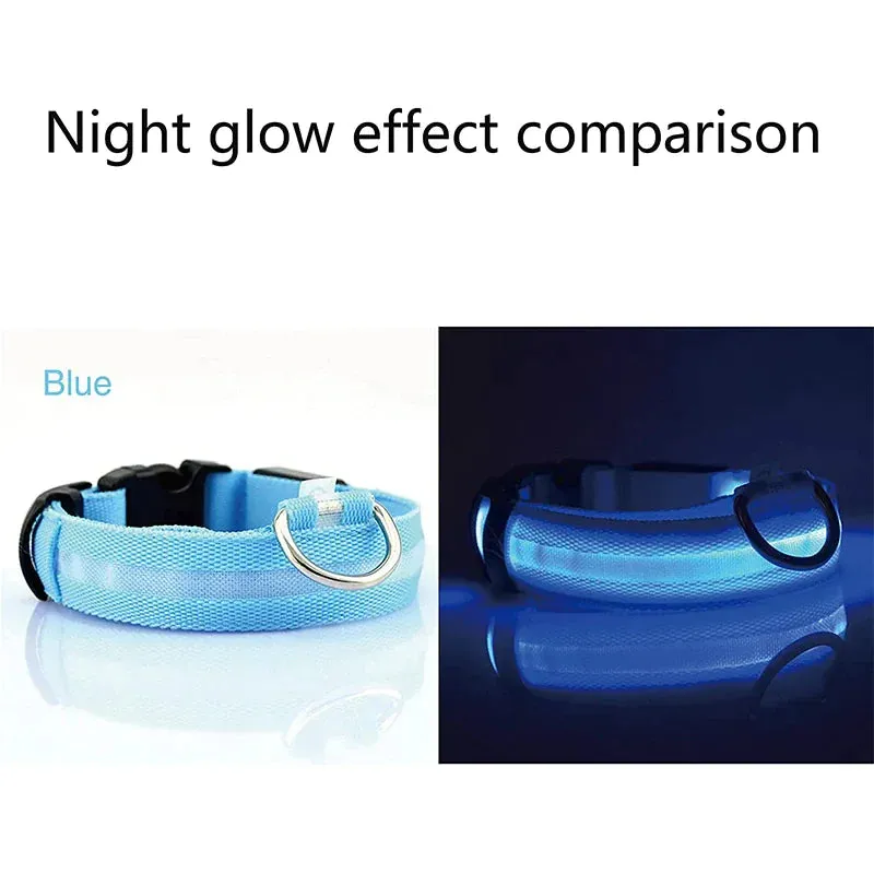 LED Glow Dog Collar