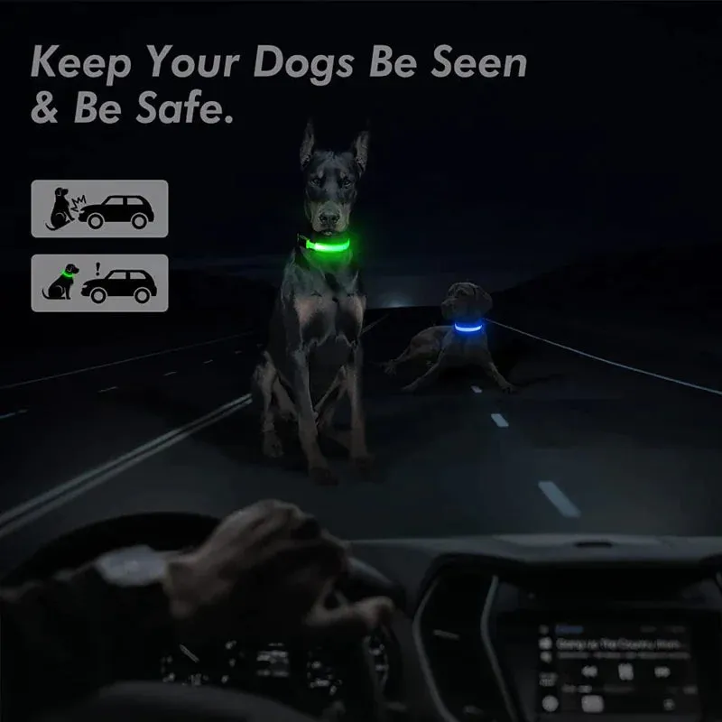 LED Glow Dog Collar