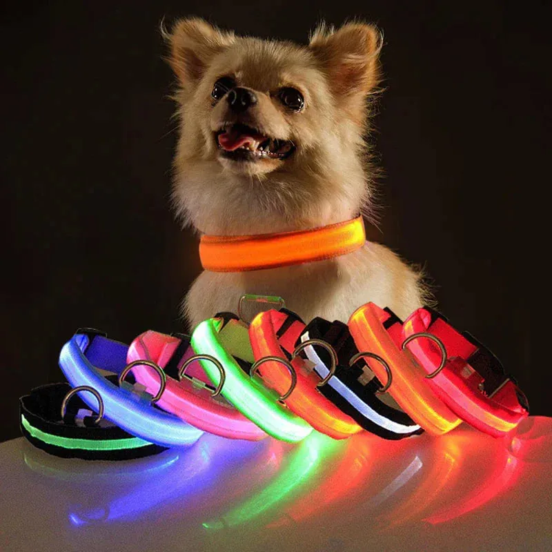 LED Glow Dog Collar