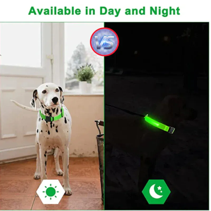 LED Glow Dog Collar