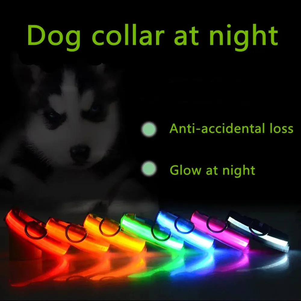 LED Glow Dog Collar