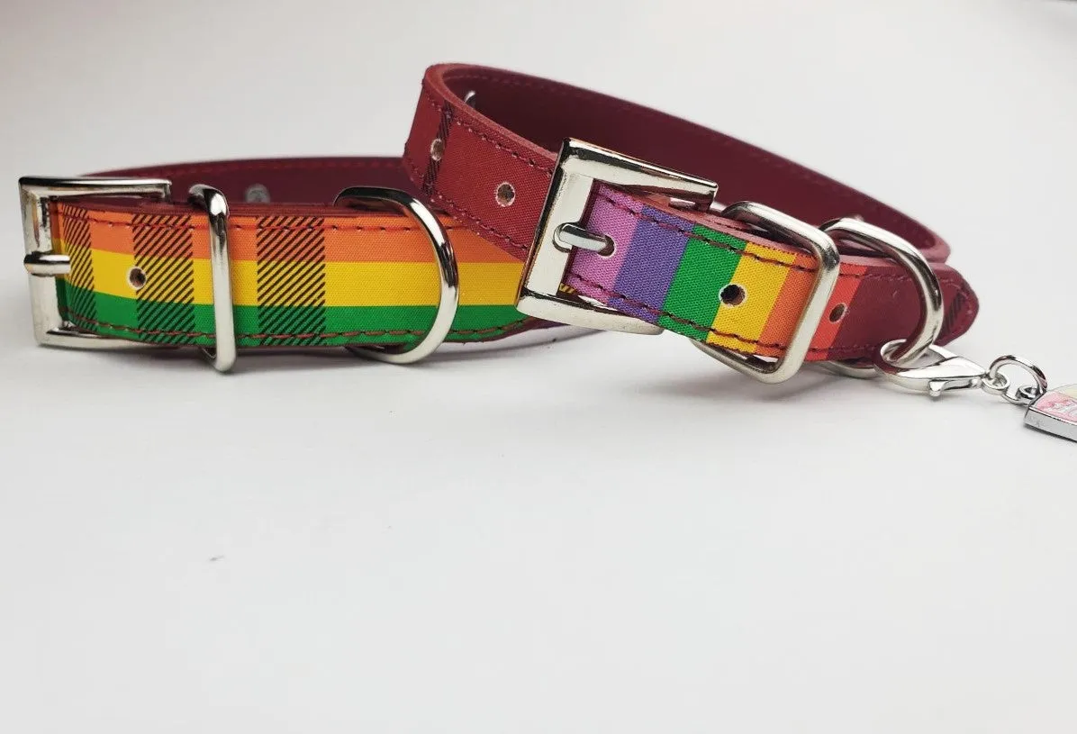 Limited Edition Rainbow Plaid Collar