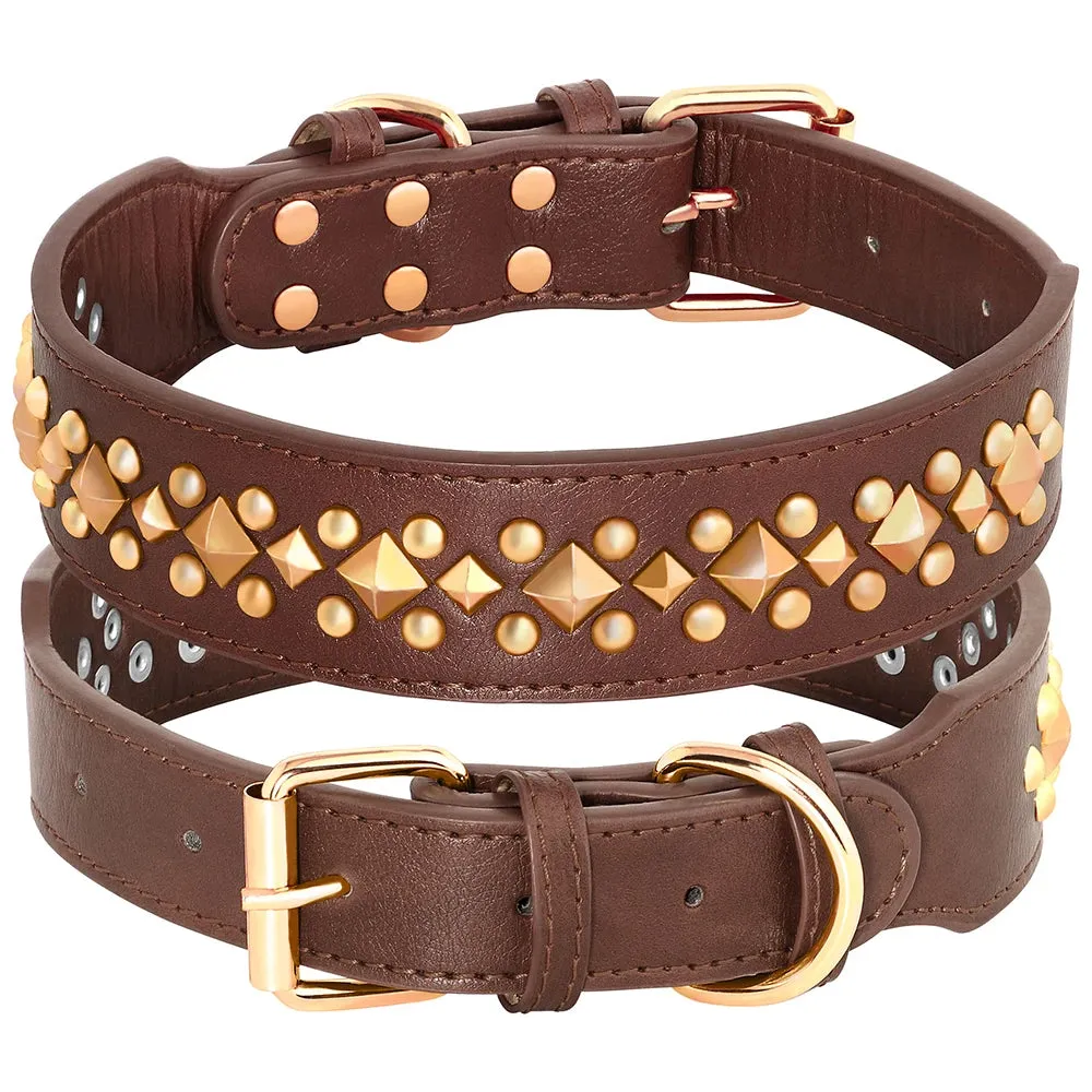 MACHO Pet - Leather Collar With Gold-Tone Studs