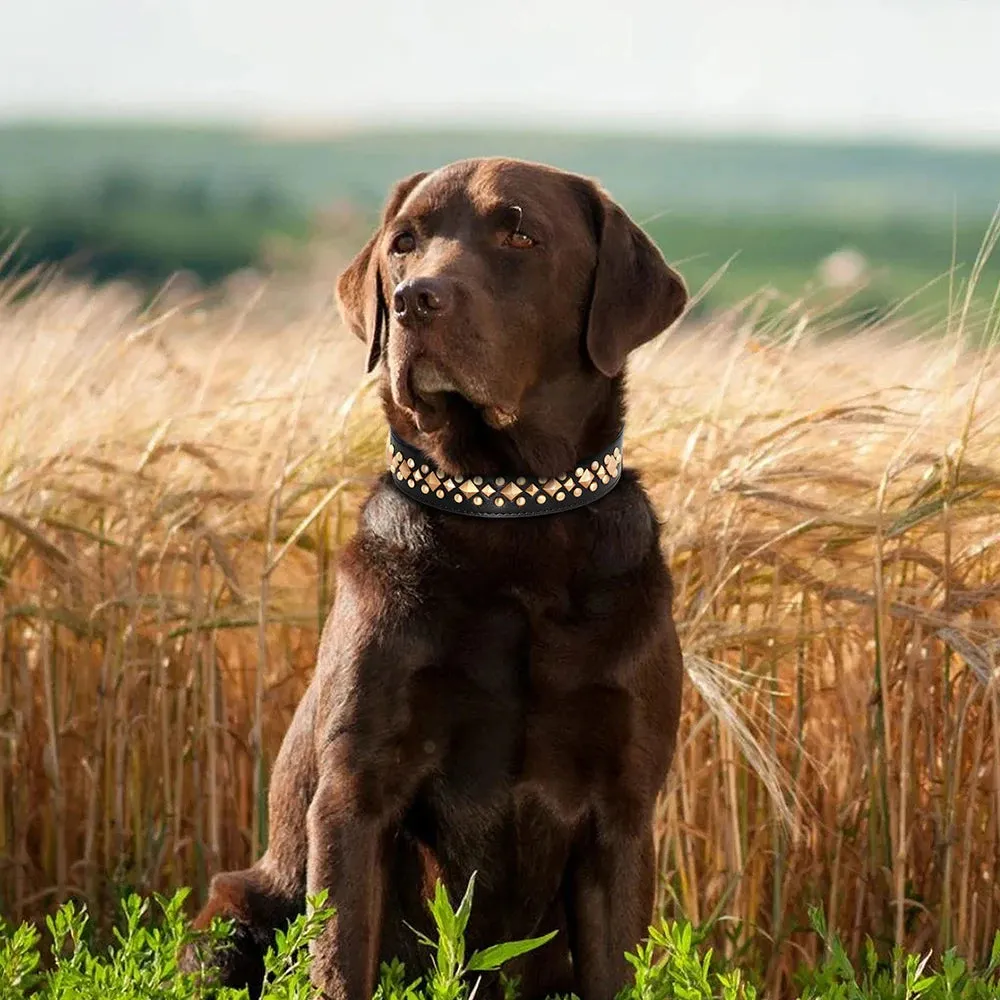 MACHO Pet - Leather Collar With Gold-Tone Studs