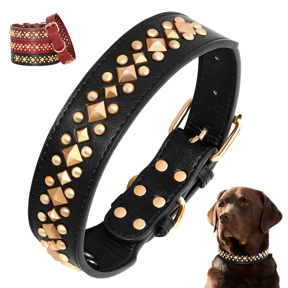 MACHO Pet - Leather Collar With Gold-Tone Studs