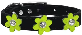 Metallic Flower Leather Collar Black With Metallic Lime Green Flowers Size 16