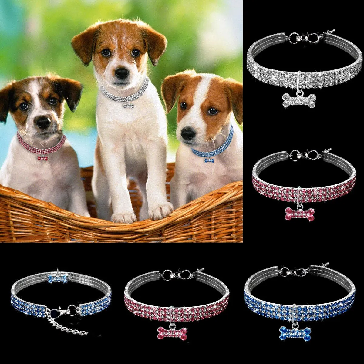 Pat and Pet Emporium | Pet Collars | Shiny Rhinestone Collar