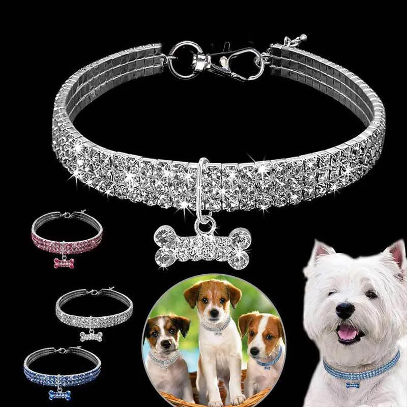 Pat and Pet Emporium | Pet Collars | Shiny Rhinestone Collar