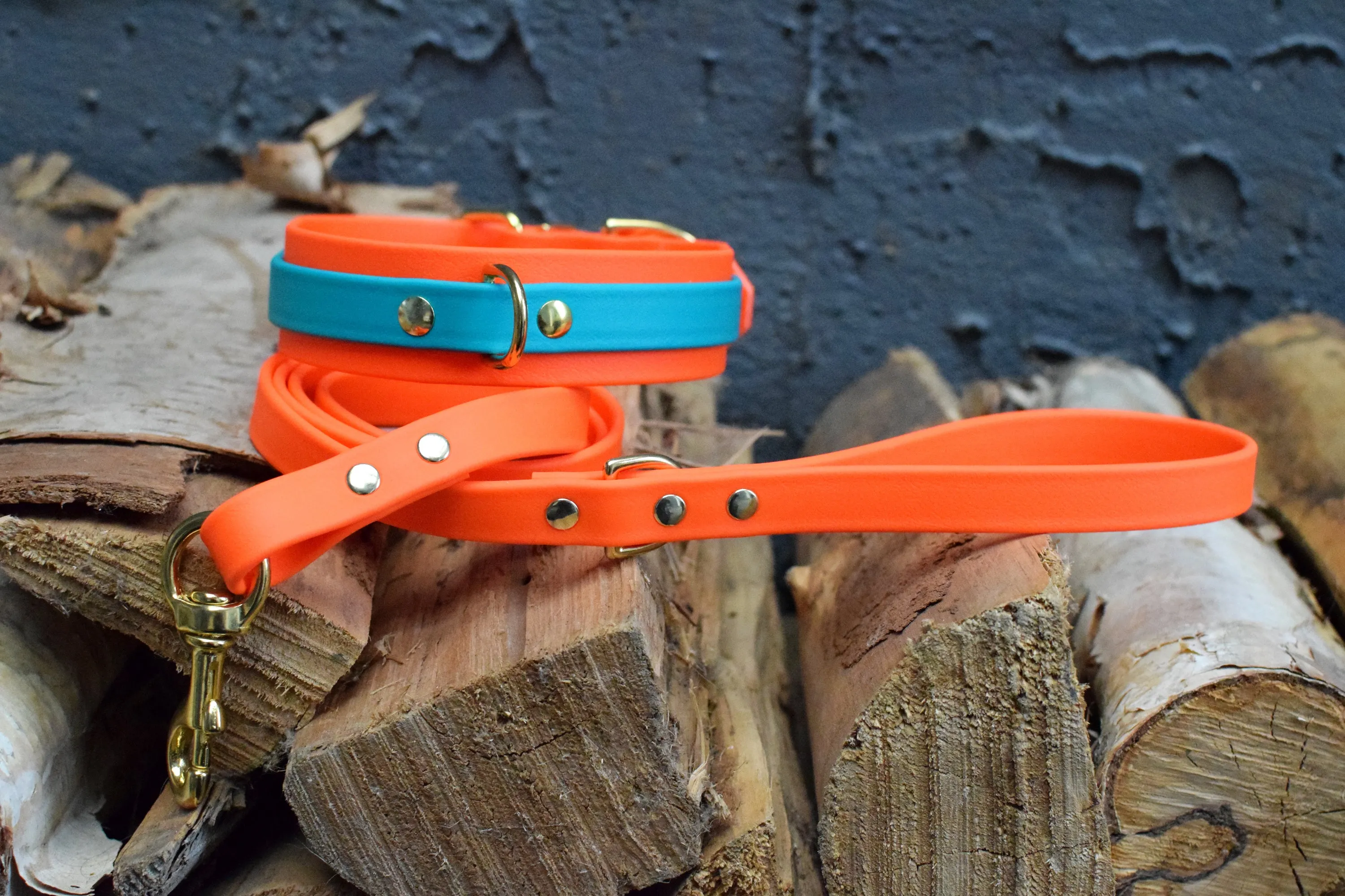 PREMADE COLLECTION - Hot Orange & Teal Biothane Dog Collar