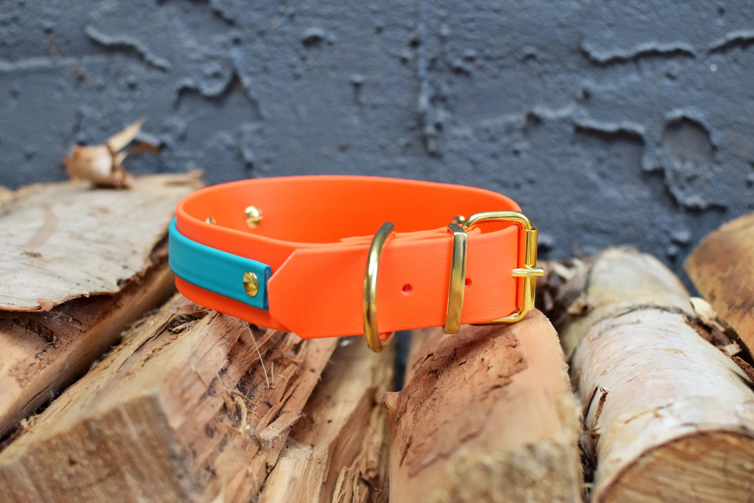 PREMADE COLLECTION - Hot Orange & Teal Biothane Dog Collar