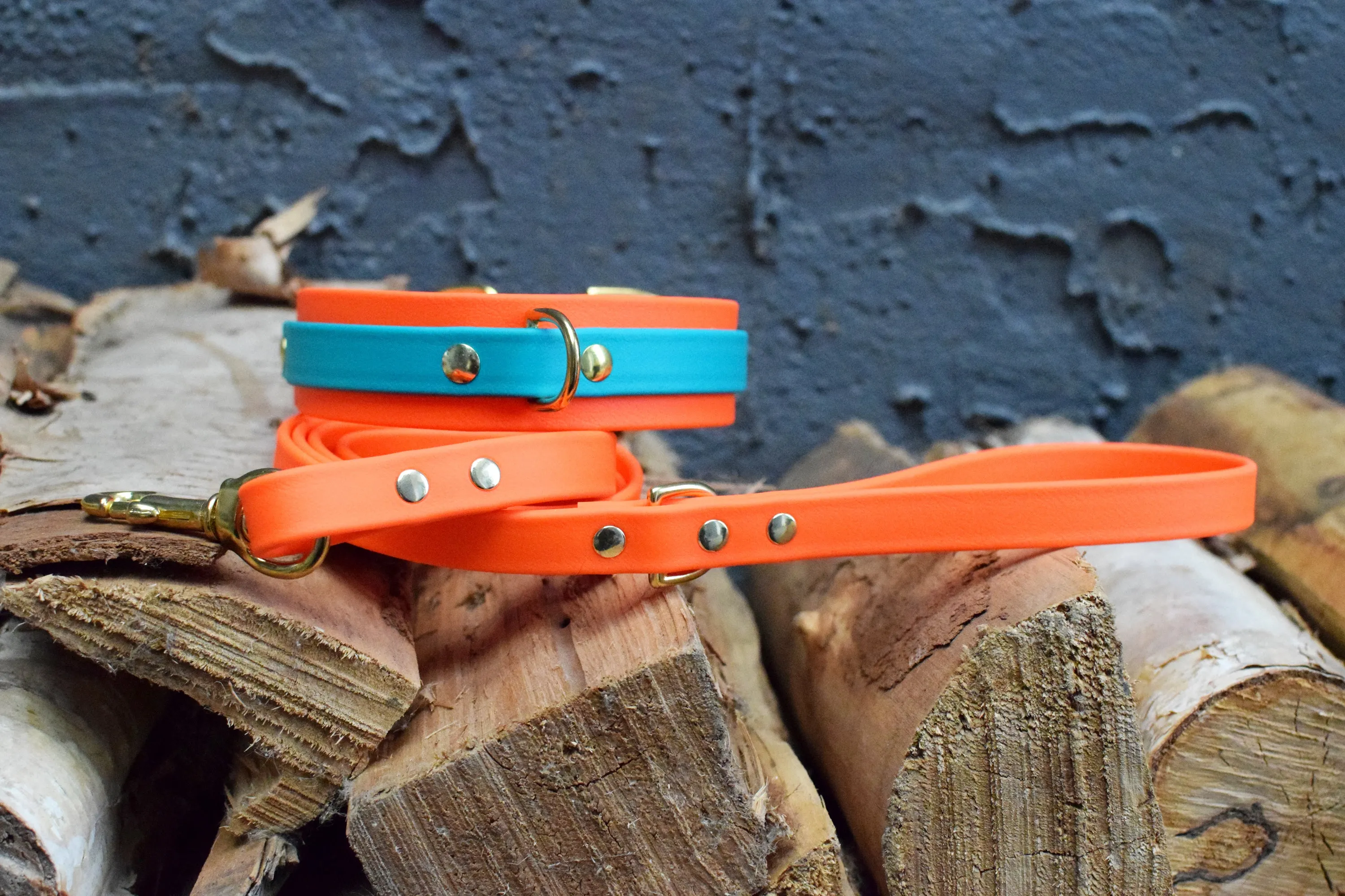 PREMADE COLLECTION - Hot Orange & Teal Biothane Dog Collar