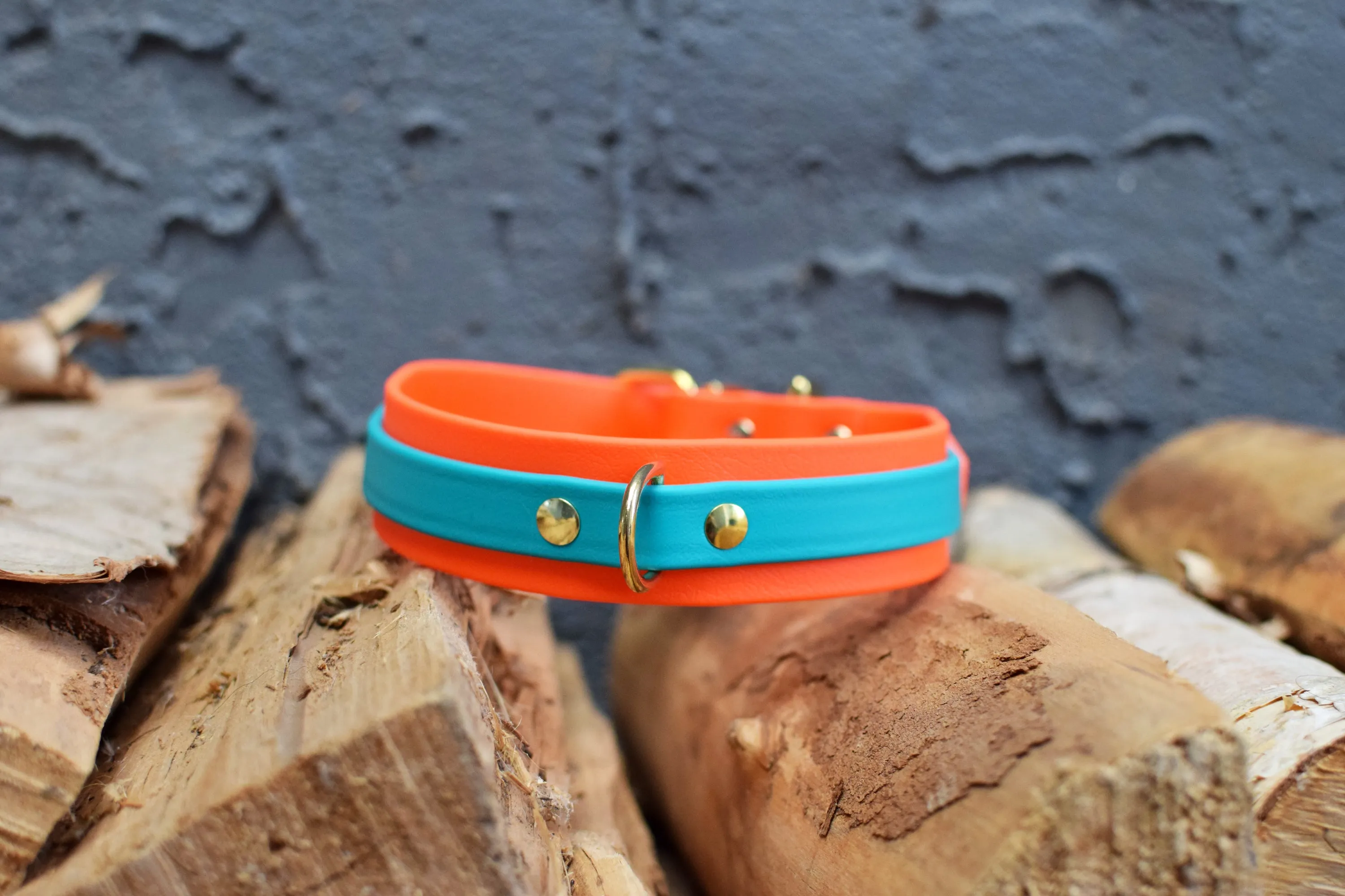 PREMADE COLLECTION - Hot Orange & Teal Biothane Dog Collar