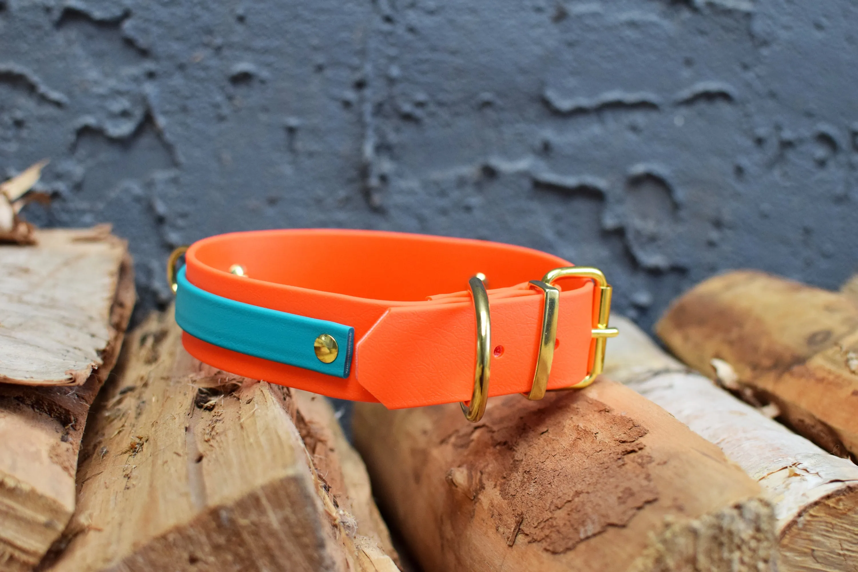 PREMADE COLLECTION - Hot Orange & Teal Biothane Dog Collar