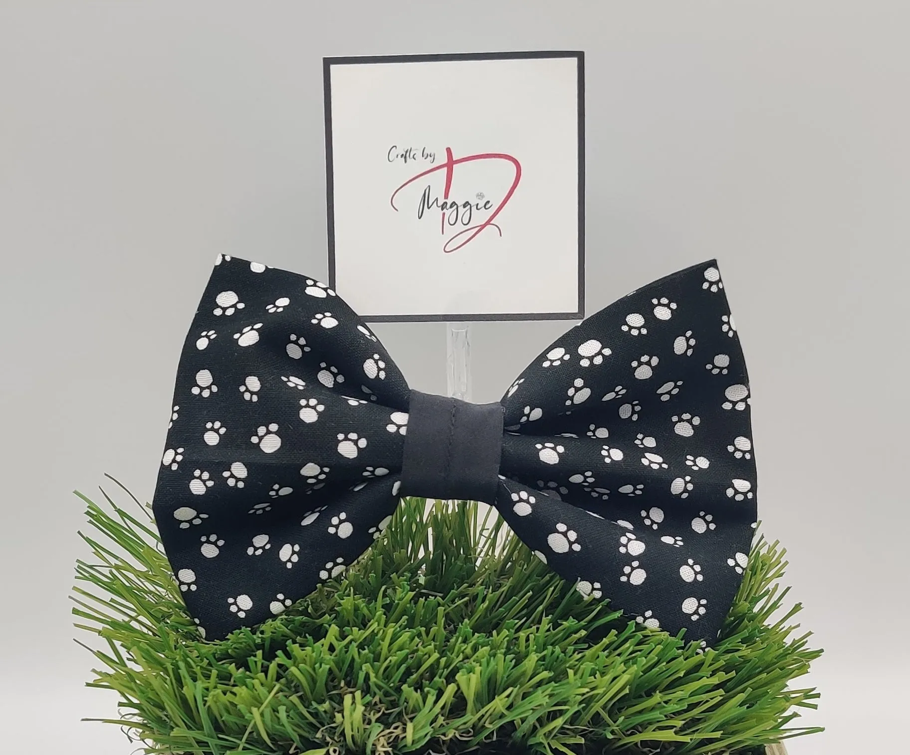 White Paws on Black Collar Bow